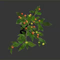 Decorative Plant with Brown Trunk Green Leaves Red and Yellow Fruits Against Dark Background