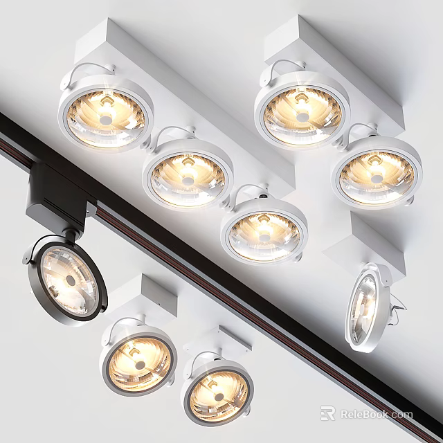 Modern Ceiling Mounted Downlights and Spotlights for Bright Home Interior Illumination 3d model 