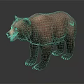 Realistic Brown Bear 3D Render In Standing Pose With Detailed Fur And Gray Background 3d model