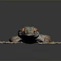 Gecko Reptile With Orange Eyes And Green Gray Scales On Dark Background