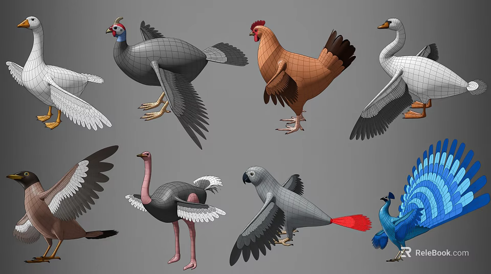 Collection of Different Flying Animals Featuring Chicken Goose Ostrich Parrot and Peacock 3d model 