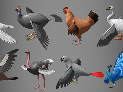 Cartoon Flying Animals Birds Seagull Ostrich Cartoon Animal Combination Peacock Parrot Ostrich Peacock Flying Animals 3d model
