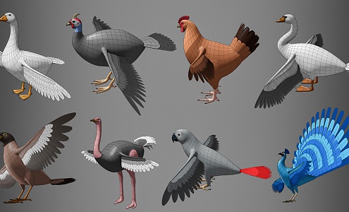 Cartoon Flying Animals Birds Seagull Ostrich Cartoon Animal Combination Peacock Parrot Ostrich Peacock Flying Animals 3d model