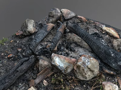 Burnt Wood And Natural Stones In Campfire Remains With Ash On Ground 3d model