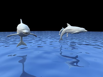 White Dolphins Swimming On Blue Water Surface With Clear Reflections 3d model