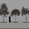 Trees With Vibrant Red Flowers And Green Grass In Garden With Person Silhouette