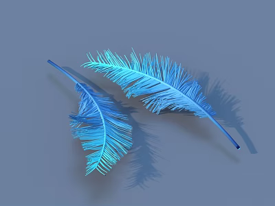 Two Blue Feathers With Detailed Texture On Gray Background And Shadows 3d model