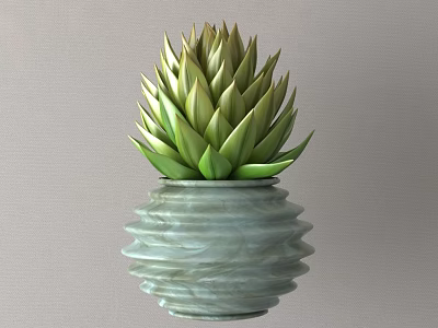 Green Succulent Plant In Light Green Wavy Texture Vase Decorative Ornament Set 3d model