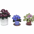 Vibrant Garden Decorations With Purple Blue Pink Flowers And Various Flower Pots
