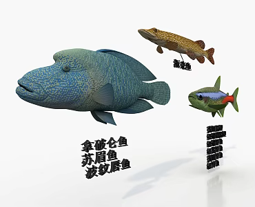Three species of marine fish 3d model