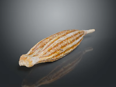 Dried Orange Yellow Striped Fruit on Black Background with Reflective Surface 3d model