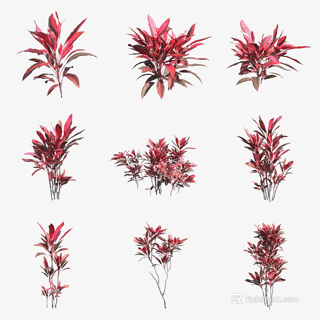 Vibrant Red Shrubs With Various Leaf Structures For Garden Landscaping Design 3d model 