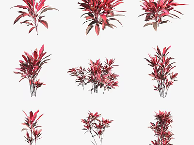 Vibrant Red Shrubs With Various Leaf Structures For Garden Landscaping Design 3d model
