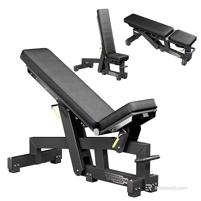 Adjustable Heavy Duty Fitness Bench For Home Gym Strength Training Workouts 3d model 
