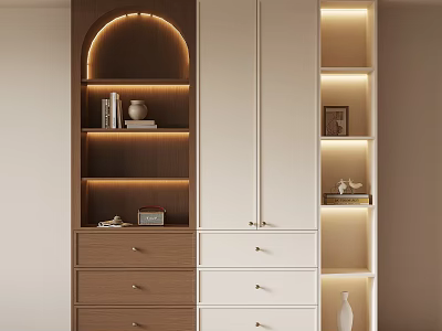 Modern Bookcase Design With Wooden White Cabinet Doors Drawers LED Lighting And Decorative Items 3d model