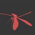 Detailed Dragonfly With Brown Wings And Green Slender Body On Gray Background