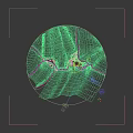 Aerial Planning of Building Complex in Green Forest With Winding Roads and Central Circular Layout