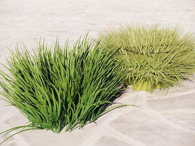 Two Green Grass Tufts Dark And Light Green On Light Stone Textured Ground 3d model