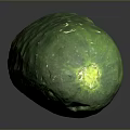 Fresh Green Cucumber with Small Spines Smooth Skin and Juicy Texture