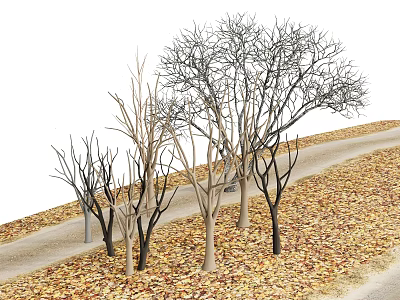 Deciduous Trees Without Leaves Standing Alongside Winding Path Covered With Fallen Leaves 3d model