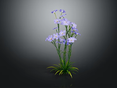 Purple Blooming Flowers With Green Stems And Leaves On Dark Background 3d model