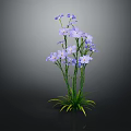 Purple Blooming Flowers With Green Stems And Leaves On Dark Background