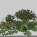 Lush Garden Shrubs With Green Herbs Yellow Flowers And Purple Blooms Creating Vibrant Outdoor Landscape