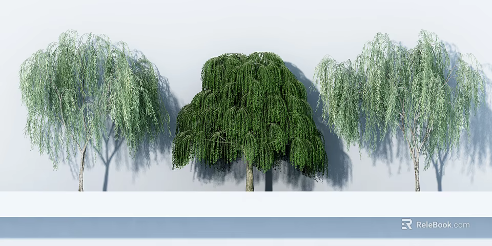 Three Weeping Arbor Trees With Lush Green Foliage And Hanging Branches 3d model 