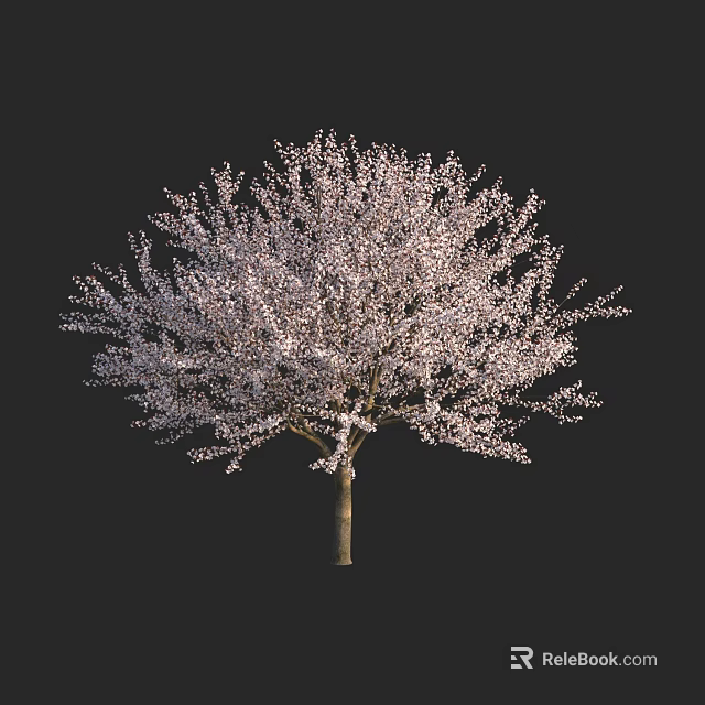 Lush Flowering Tree With Dense Blossoms And Thick Branches Against Dark Background 3d model 