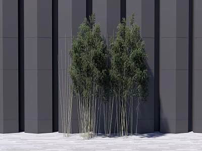 Bamboo Plants In Front Of Modern Grey Building Wall 3d model