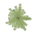 Potted Fern Plant in Gray Cylindrical Pot with Lush Green Fronds for Indoor Decorative