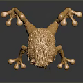 Frog Poison Frog Game Frog Reptile Cold Blooded Animal Reptile 3d model