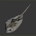 Horseshoe Crab With Pale White Hard Carapace And Long Tail Spine Structure