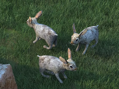 Three Adorable Rabbits Hopping On Lush Green Grass In Natural Field 3d model