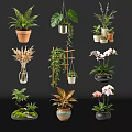 Assorted Flowering Plants In Ceramic Glass Metal Vases And Hanging Desktop Displays