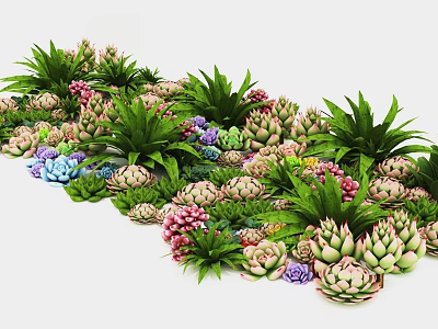 Collection of Various Succulent Plants With Green Leaves And Colorful Pink Purple Varieties 3d model