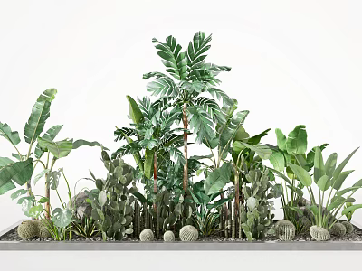 Lush Green Shrubs With Large Leaf Plants And Cacti In Long Container 3d model
