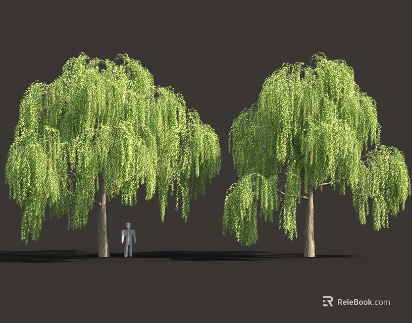 Weeping Willow Trees With Long Green Foliage And Human Figure For Scale 3d model