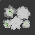 Various Green Plants Decorative Ornament Set With Minimalist Pots For Indoor Home Decoration