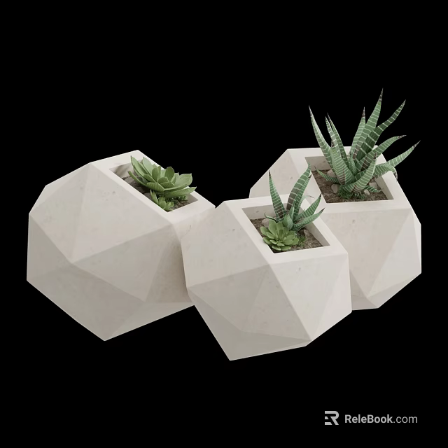 Geometric White Potted Succulent Plants for Indoor Home Decoration with Aloe and Small Succulents 3d model 