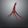 Red Animal With Long Thin Legs Curved Segmented Body And Reflection On Dark Background