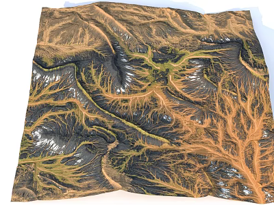 Aerial View Of Natural Drainage Patterns With Earthy Tones And Green Vegetation 3d model