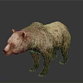Realistic Brown Bear 3D Model With Detailed Fur Texture And Lifelike Features
