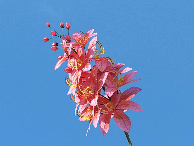Pink Flowers With Red Berries In Decorative Vase Against Blue Background 3d model