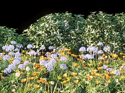 Flowers and Plants Combination Landscape Shrubs Plant Combination Natural Landscape 3d model