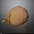 Fresh Peeled Onion Displayed On Dark Background With Shiny Reflection