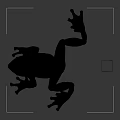 Green Frog With Stretched Legs And Colorful Rubik's Cube On Gray Background