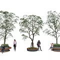 Tall Trees in Urban Public Space With Circular Seats and People Resting Walking Sitting