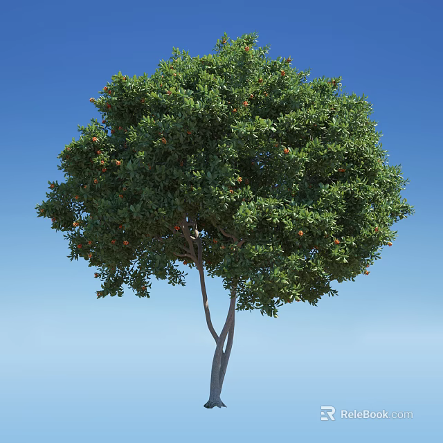 Tree with Dense Green Leaves and Orange Fruits Against Blue Sky 3d model 