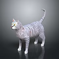 Striped Gray Cat With Yellow Eyes Standing On Black Surface Against Gray Background